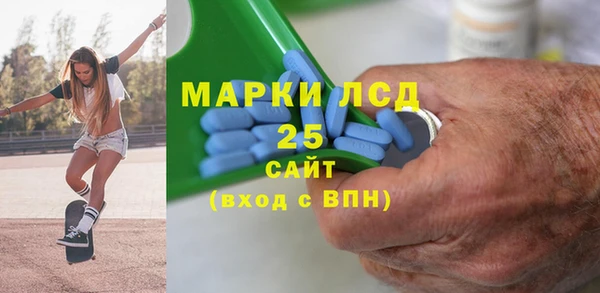 прущие грибы Алзамай