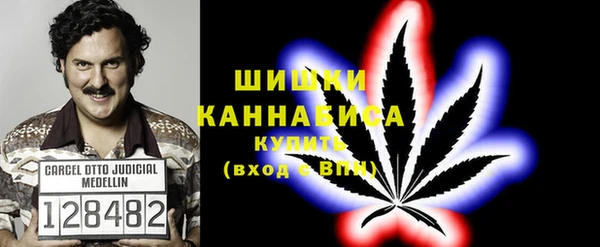прущие грибы Алзамай