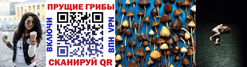 Галлюциногенные грибы мухоморы  где продают   Новочебоксарск 