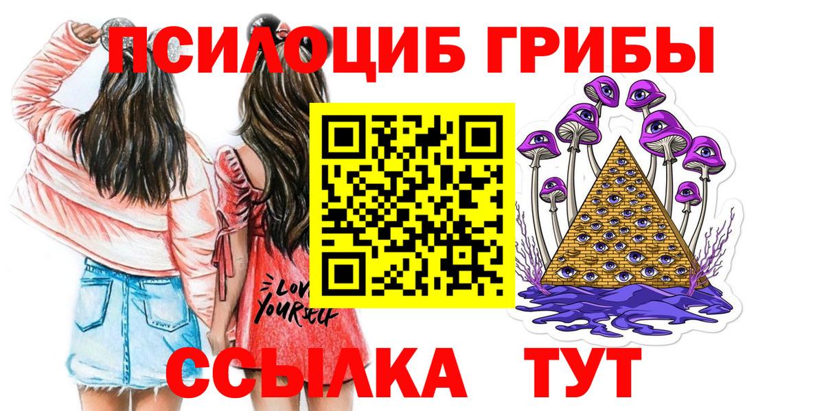 Псилоцибиновые грибы мицелий  Вход с VPN  Новочебоксарск 