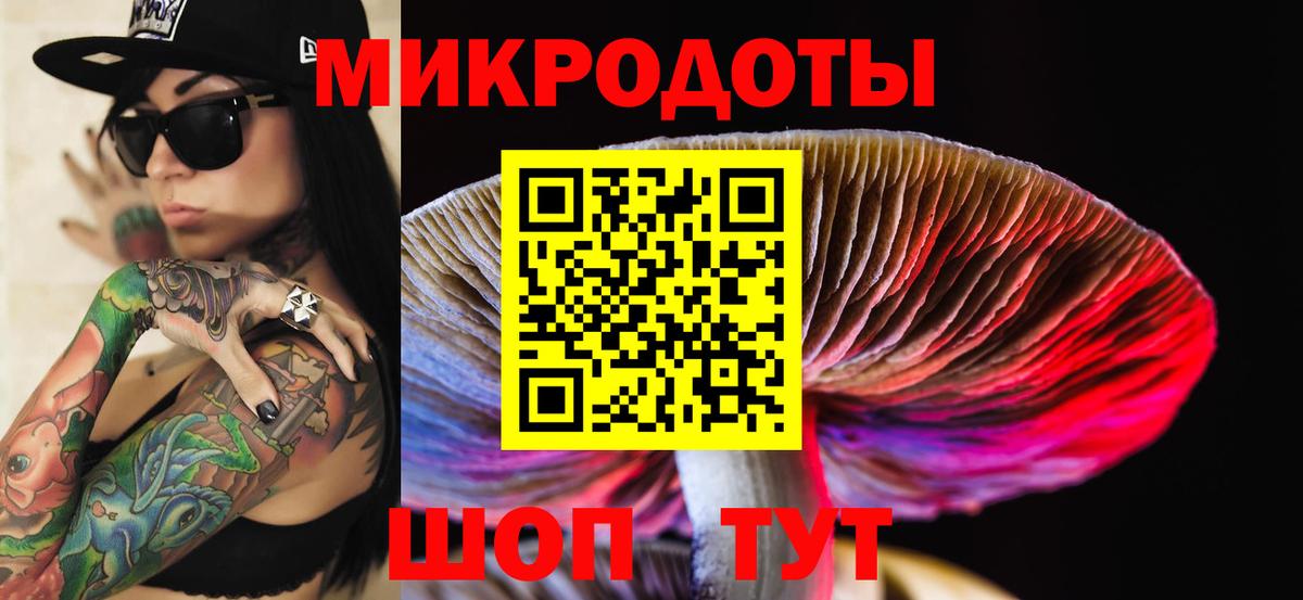 Псилоцибиновые грибы мицелий Новочебоксарск