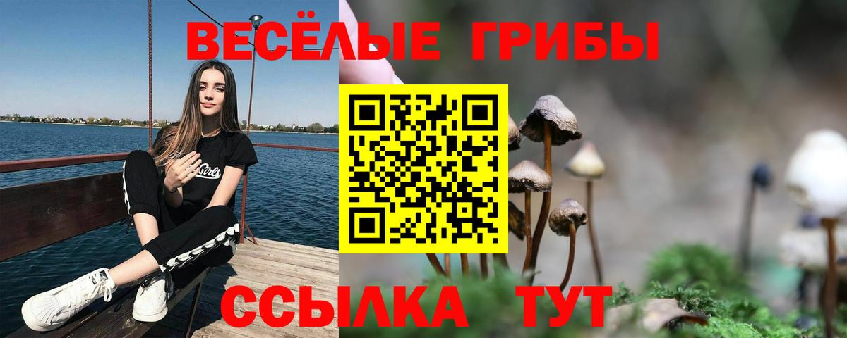 Галлюциногенные грибы Psilocybine cubensis Новочебоксарск